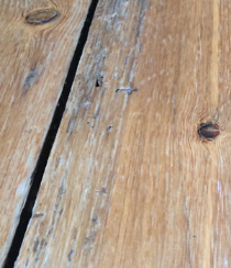 A wooden floor without DraughtEx fitted between the gaps